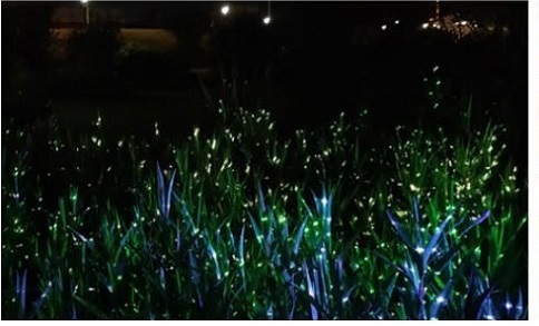 LED glowworm Effect Light